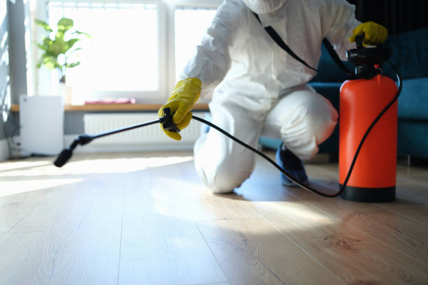 Reliable Infectious Disease Decontamination contractor in Arriba, CO by Trauma Clean Pros
